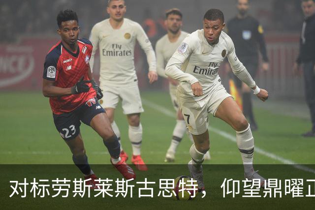 对标劳斯莱斯古思特，仰望鼎曜正式公布