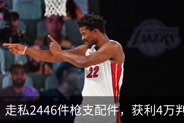 走私2446件枪支配件，获利4万判了10年，国家射击教练田红案披露
